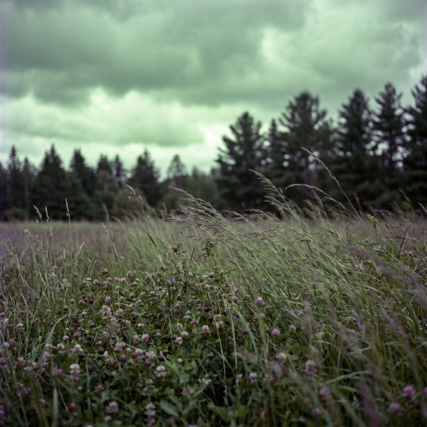 Before the Rain — The Keeper